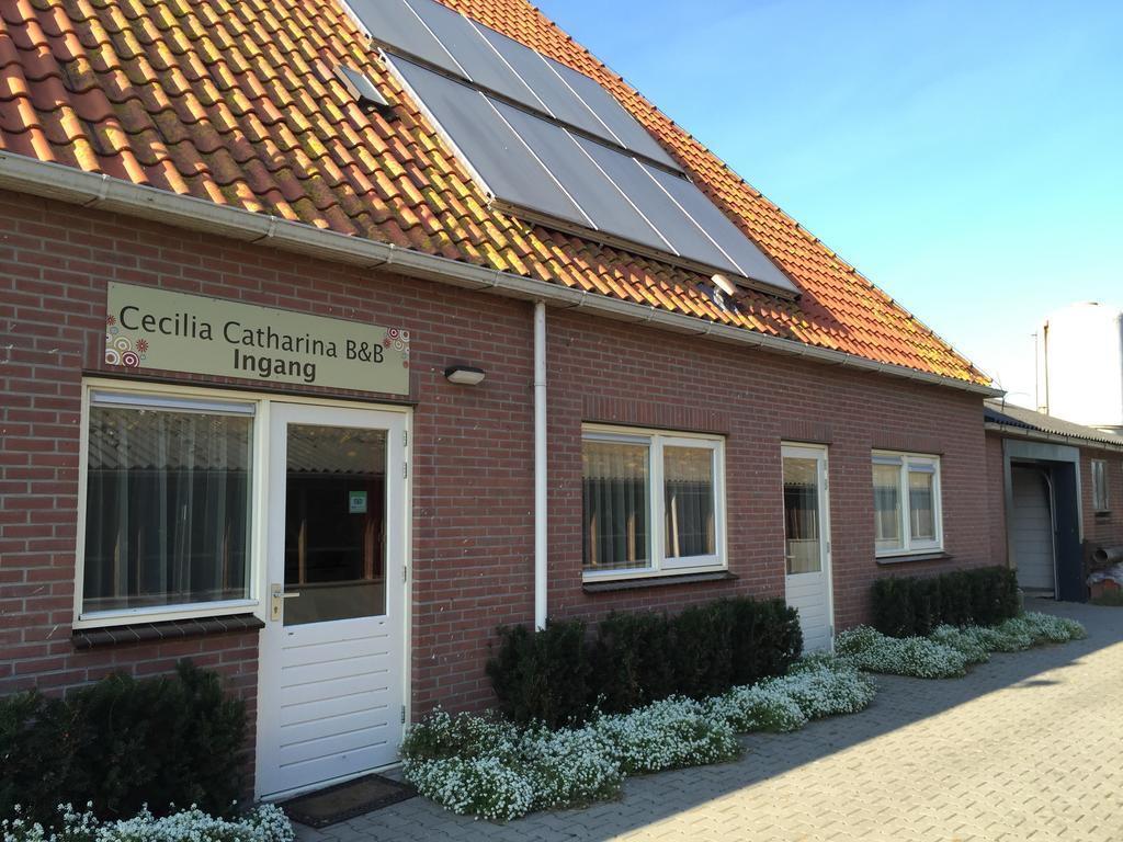 Cecilia - Catharina B&B Joure Exterior photo